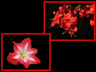 Ninguém quer saber o que fomos, o que possuíamos, que cargo ocupávamos no mundo;   o que conta é a luz que cada um já tenha conseguido fazer brilhar em si mesmo. 