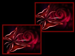 "Se tiver que amar, ame hoje. Se tiver que sorrir, sorria hoje. Se tiver que chorar, chore hoje.   Pois o importante é viver hoje. O ontem já foi e o amanhã talvez não venha." 