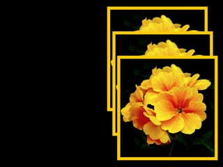 “  Viver é sempre dizer aos outros que eles são importantes. Que nós os amamos, porque um dia eles se vão e ficaremos com a impressão de que não os amamos o suficiente.“ 