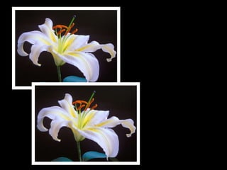 A vida por fora de nós é a imagem do que somos por dentro. 