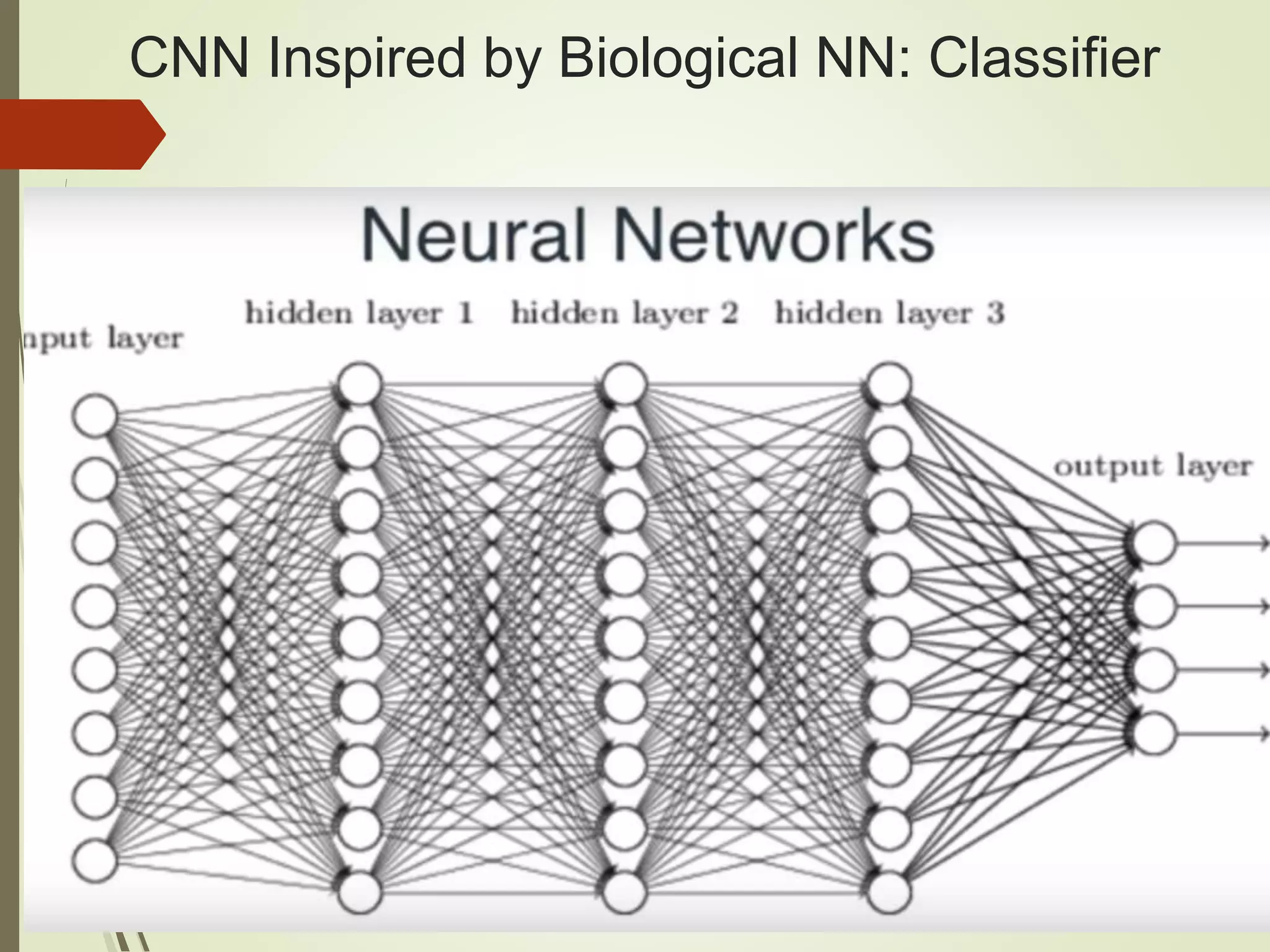 CNN Inspired by Biological NN: Classifier
 