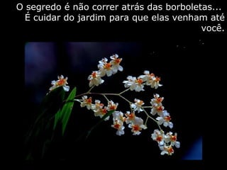 O segredo é não correr atrás das borboletas...  É cuidar do jardim para que elas venham até você. 