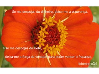 Se me despojas do dinheiro, deixa-me a esperança,  e se me despojas do êxito,  deixa-me a força de vontade para poder vencer o fracasso. 