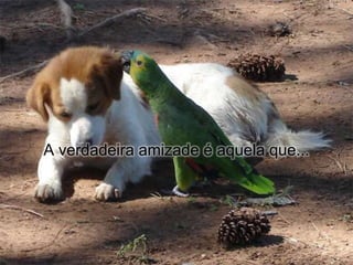 A verdadeira amizade é aquela que...
 