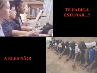 TE FADIGA ESTUDAR...? A ELES NÃO! 