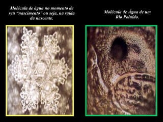 Molécula de água no momento de seu “nascimento” ou seja, na saída da nascente. Molécula de Água de um Rio Poluído. 