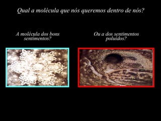 Qual a molécula que nós queremos dentro de nós? A molécula dos bons sentimentos? Ou a dos sentimentos poluídos? 
