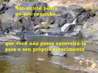Não existe pedra  no seu caminho... que você não possa aproveitá-la para o seu próprio crescimento  