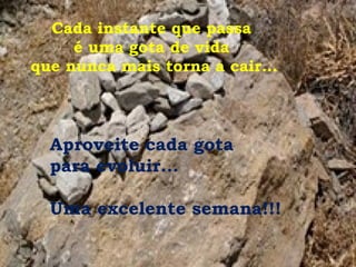 Cada instante que passa  é uma gota de vida  que nunca mais torna a cair... Aproveite cada gota  para evoluir... Uma excelente semana!!! 