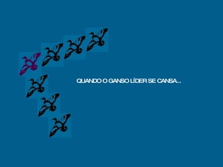 QUANDO O GANSO LÍDER SE CANSA... 