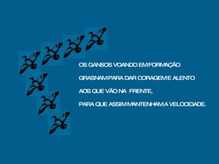 OS GANSOS VOANDO EM FORMAÇÃO GRASNAM PARA DAR CORAGEM E ALENTO AOS QUE VÃO NA  FRENTE, PARA QUE ASSIM MANTENHAM A VELOCIDADE. 