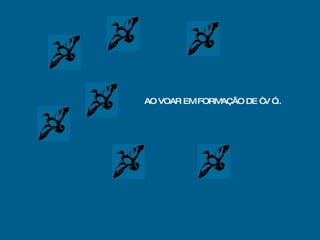 AO VOAR EM FORMAÇÃO DE “ V ”... 