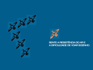 SENTE A RESISTÊNCIA DO AR E A DIFICULDADE DE VOAR SOZINHO. 