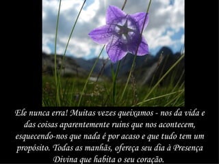 Ele nunca erra! Muitas vezes queixamos - nos da vida e das coisas aparentemente ruins que nos acontecem, esquecendo-nos que nada é por acaso e que tudo tem um propósito. Todas as manhãs, ofereça seu dia à Presença Divina que habita o seu coração.  