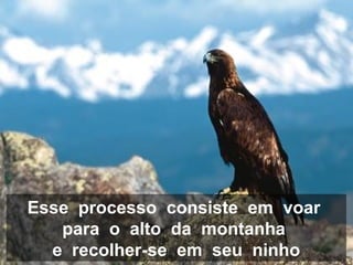 Esse processo consiste em voar
para o alto da montanha
e recolher-se em seu ninho
 