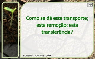 Como se dá este transporte;
     esta remoção; esta
       transferência?


Pr. Weber | ICNV-Vila | 2009
 