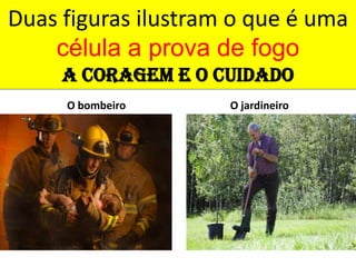 Duas figuras ilustram o que é uma célula a prova de fogoA coragem e o cuidadoO bombeiroO jardineiro