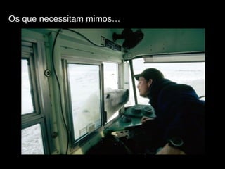 Os que necessitam mimos… 