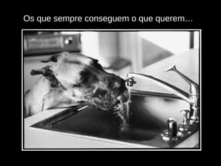 Os que sempre conseguem o que querem… 