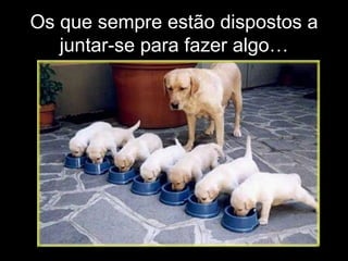 Os que sempre estão dispostos a juntar-se para fazer algo… 