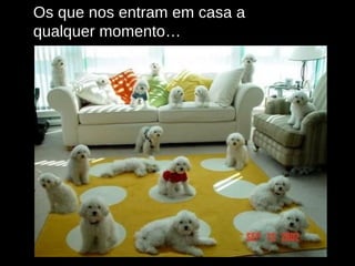 Os que nos entram em casa a qualquer momento… 