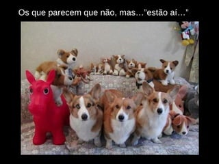 Os que parecem que não, mas…”estão aí…” 