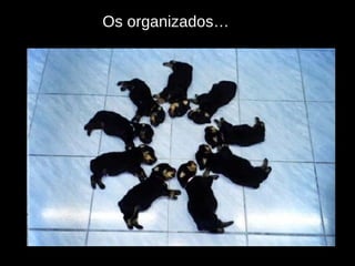 Os organizados… 