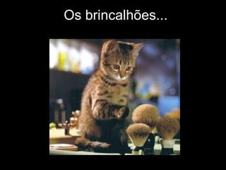 Os brincalhões... 