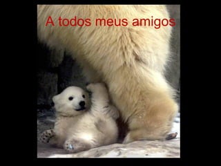 A todos meus amigos 