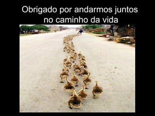 Obrigado por andarmos juntos  no caminho da vida 