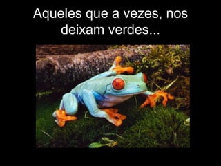 Aqueles que a vezes, nos deixam verdes... 