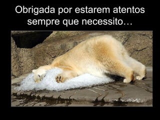 Obrigada por estarem atentos sempre que necessito… 