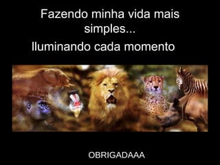 Fazendo minha vida mais simples... I  lluminando cada momento OBRIGADAAA 