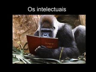 Os intelectuais 