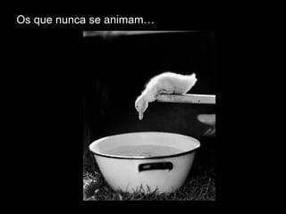 Os que nunca se  ani mam… 