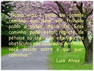 “Nossa vida é como um grande caminho que deve ser trilhado passo a passa, dia a dia. Esse caminho pode estar repleto de pétalas ou cheio de espinhos, os obstáculos são colocados por você, você decide sobre o que quer caminhar.". Luis Alves