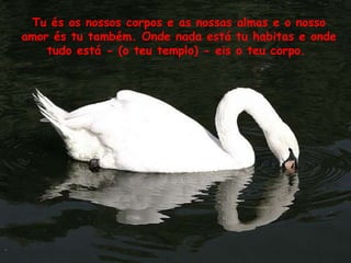 Tu és os nossos corpos e as nossas almas e o nosso amor és tu também. Onde nada está tu habitas e onde tudo está - (o teu templo) - eis o teu corpo.  