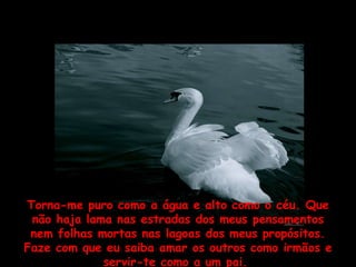 Torna-me puro como a água e alto como o céu. Que não haja lama nas estradas dos meus pensamentos nem folhas mortas nas lagoas dos meus propósitos. Faze com que eu saiba amar os outros como irmãos e servir-te como a um pai.  