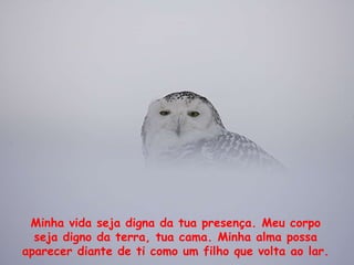 Minha vida seja digna da tua presença. Meu corpo seja digno da terra, tua cama. Minha alma possa aparecer diante de ti como um filho que volta ao lar.  