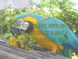 Não espere por uma crise
para descobrir o que é
importante em sua vida.
 