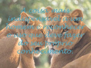 A coisa mais
indispensável a um
homem é reconhecer
o uso que deve fazer
do seu próprio
conhecimento.
 