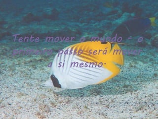 Tente mover o mundo - o
primeiro passo será mover
a si mesmo.
 