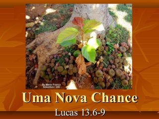 Uma Nova ChanceUma Nova Chance
Lucas 13.6-9Lucas 13.6-9
 