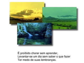 É proíbido chorar sem aprender, Levantar-se um dia sem saber o que fazer Ter medo de suas lembranças. 