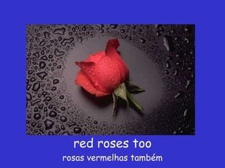 red roses too rosas vermelhas também 