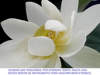 OS BENS QUE POSSUÍMOS, POR EFÊMERO TEMPO, NESTA VIDA,
DEVEM SERVIR DE INSTRUMENTO PARA ADQUIRIR BENS ETERNOS.
 