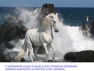 A VERDADEIRA AJUDA É AQUELA QUE CONSEGUE DESENHAR
SORRISO NUM ROSTO JÁ PINTADO COM LÁGRIMAS.
 
