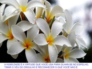 A HUMILDADE É A VIRTUDE QUE VOCÊ USA PARA OLHAR-SE NO ESPELHO,
TIRAR O VÉU DO ORGULHO E RECONHECER O QUE VOCÊ NÃO É.
 