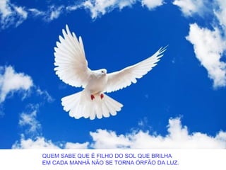 QUEM SABE QUE É FILHO DO SOL QUE BRILHA
EM CADA MANHÃ NÃO SE TORNA ÓRFÃO DA LUZ.
 
