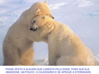 PASSE AFETO A ALGUÉM QUE LAMENTA PELA IDADE, PARA QUE ELE
ABANDONE, UM POUCO, O CALENDÁRIO E SE APEGUE À ETERNIDADE.
 